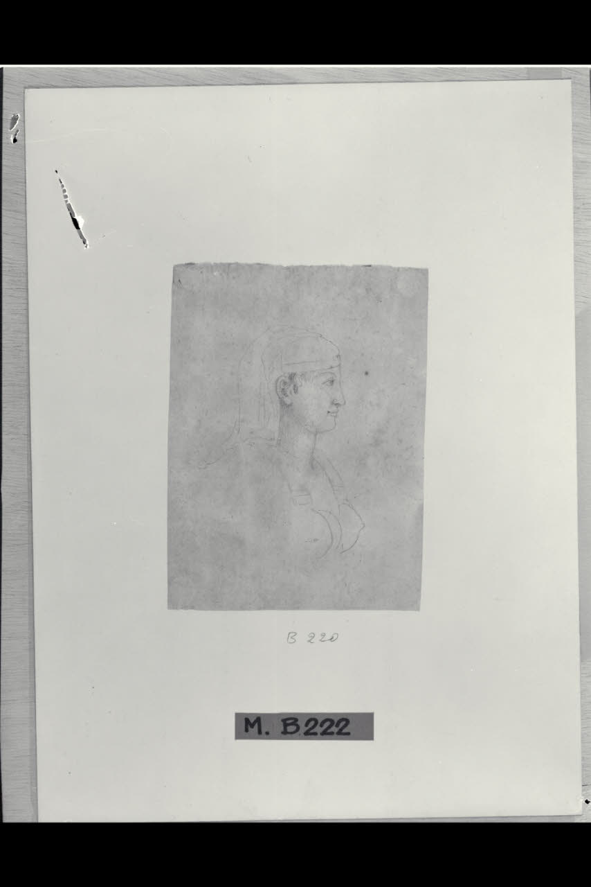 Sfinge (disegno) di Maggiolini (bottega) (primo quarto sec. XIX)