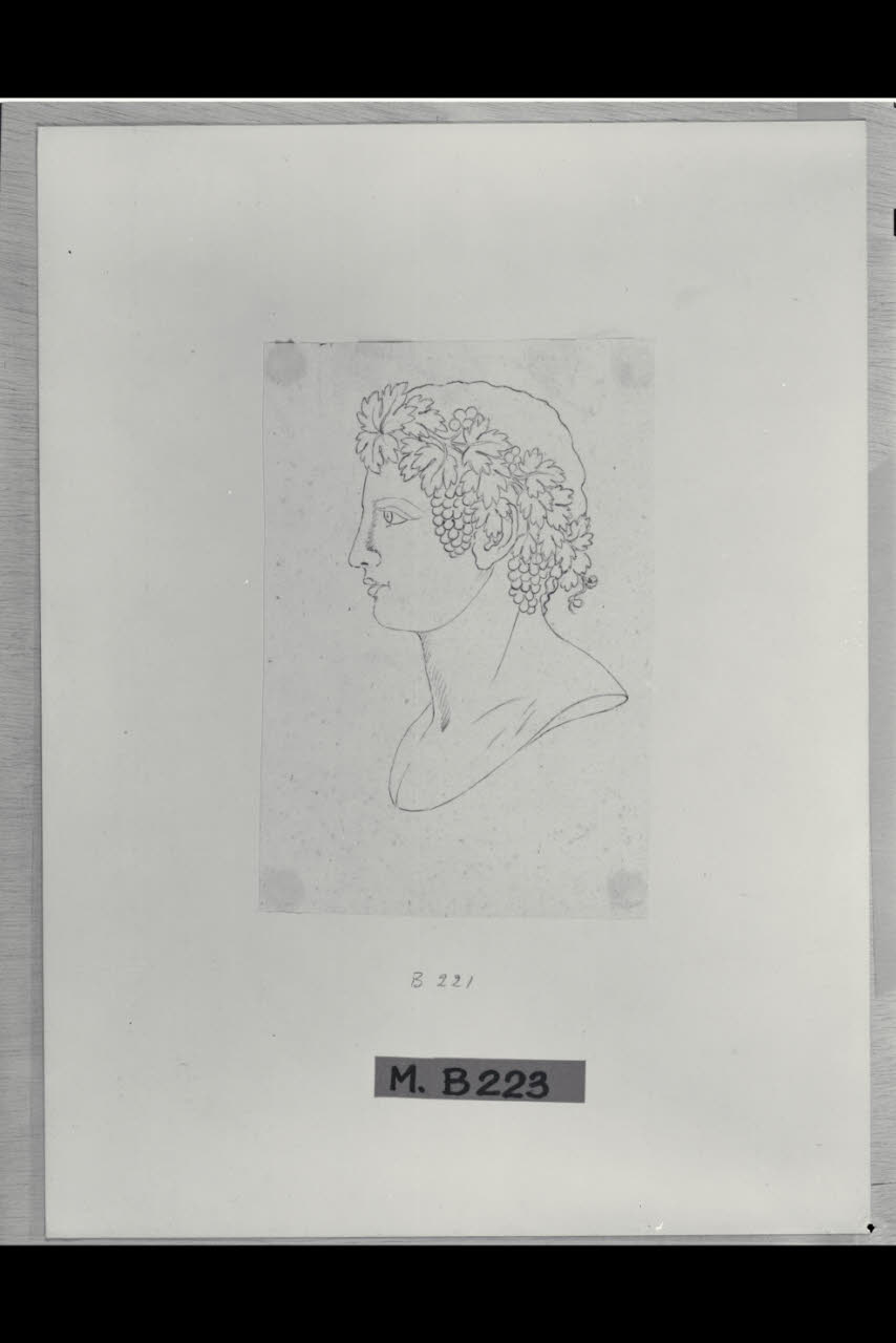 Testa di Bacco di profilo (disegno) di Maggiolini (bottega) (secc. XVIII/ XIX)