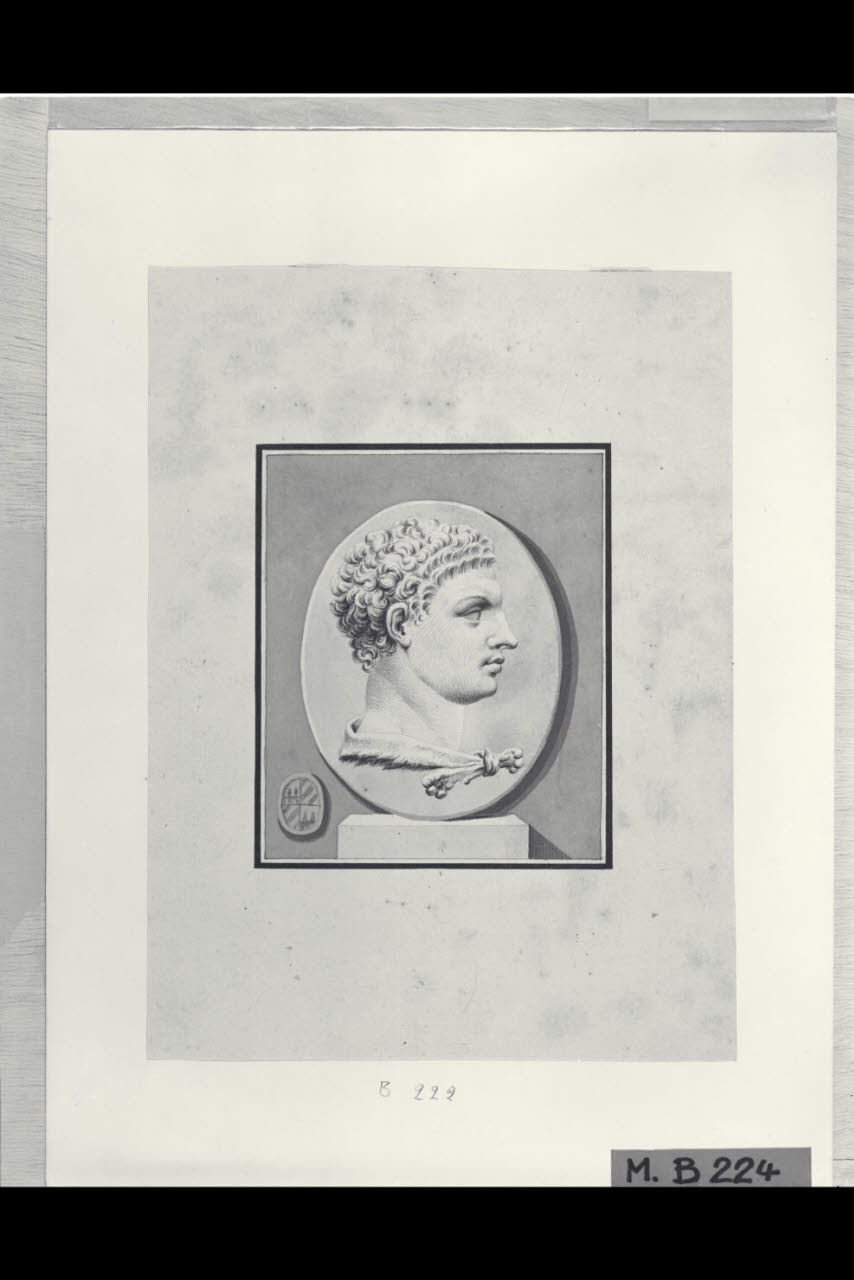 Testa di Ercole di profilo (disegno) di Maggiolini (bottega) (secc. XVIII/ XIX)