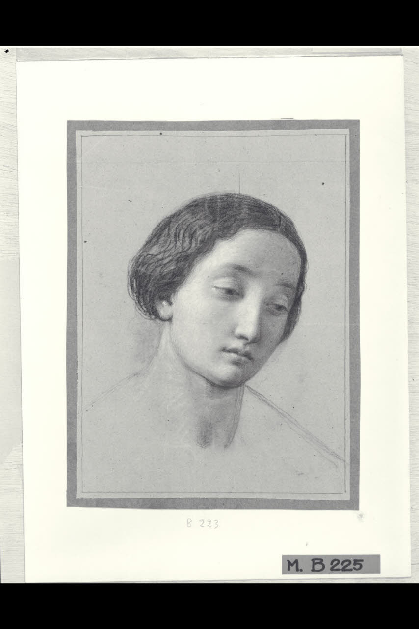 Testa di giovinetta (disegno) di Maggiolini (bottega) (secc. XVIII/ XIX)