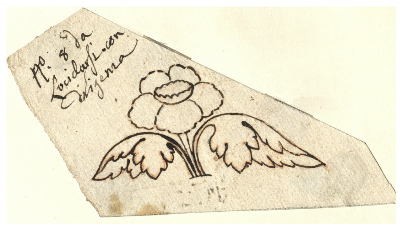 Rosa con foglie (disegno) di Maggiolini (bottega) (secc. XVIII/ XIX)