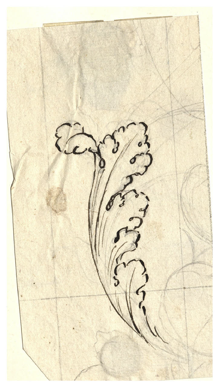Studio di foglia (disegno) di Maggiolini (bottega) (secc. XVIII/ XIX)