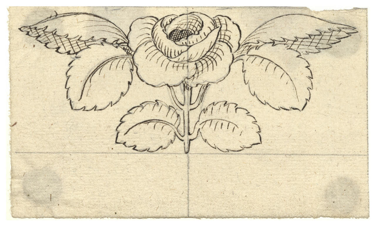 Rosa (disegno) di Maggiolini (bottega) (secc. XVIII/ XIX)