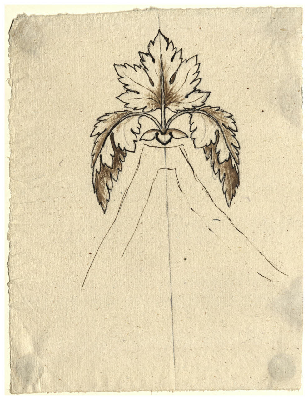 Foglie di vite (disegno) di Maggiolini (bottega) (secc. XVIII/ XIX)