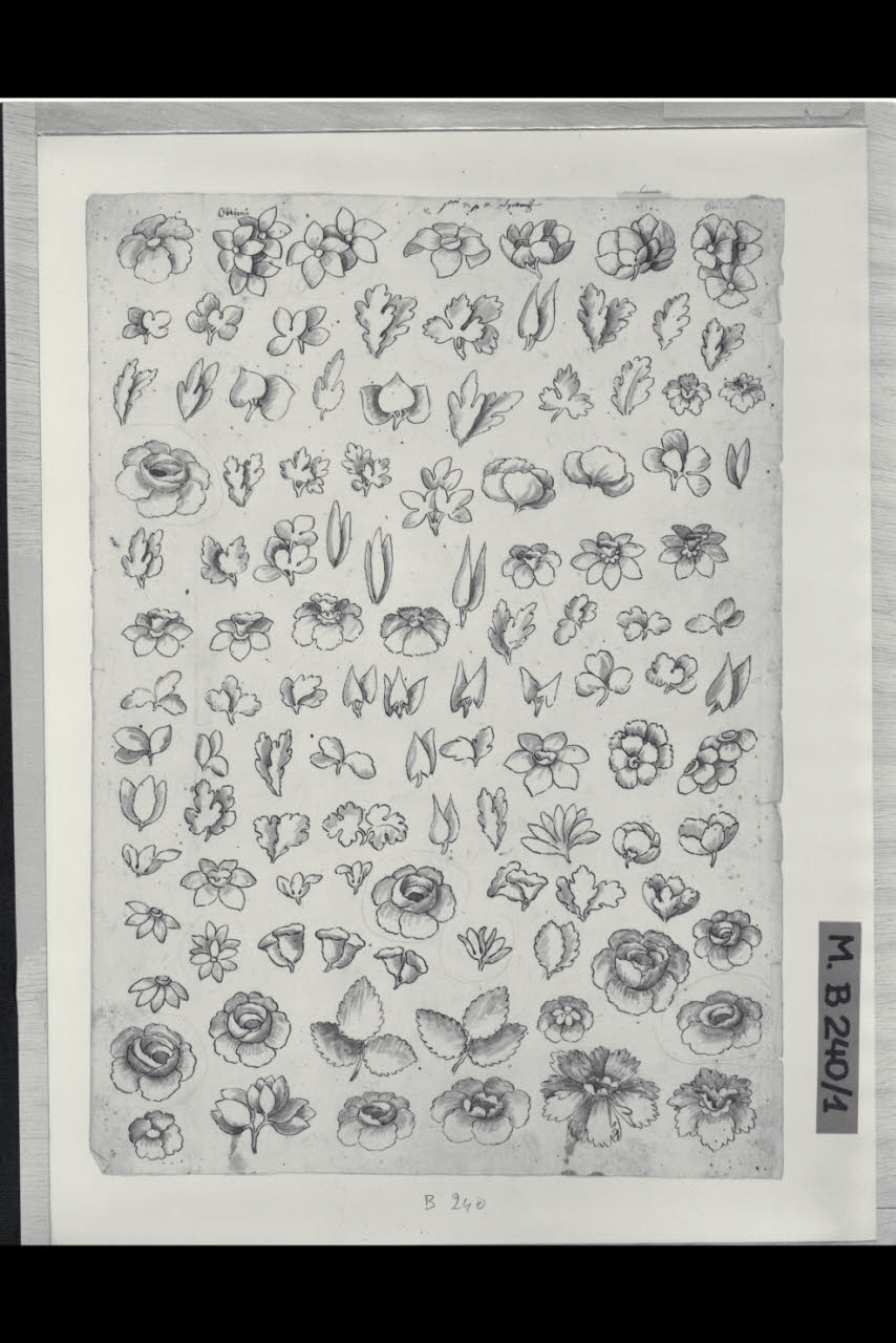 Studi di fiori (disegno) di Maggiolini (bottega) (secc. XVIII/ XIX)