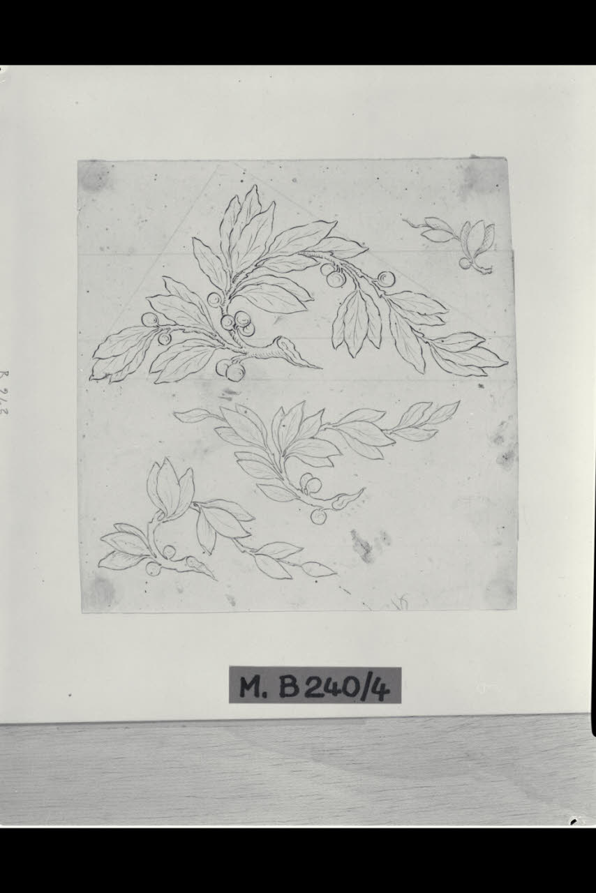 Studi di ramoscelli di lauro per riserve angolari (disegno) di Maggiolini (bottega) (secc. XVIII/ XIX)