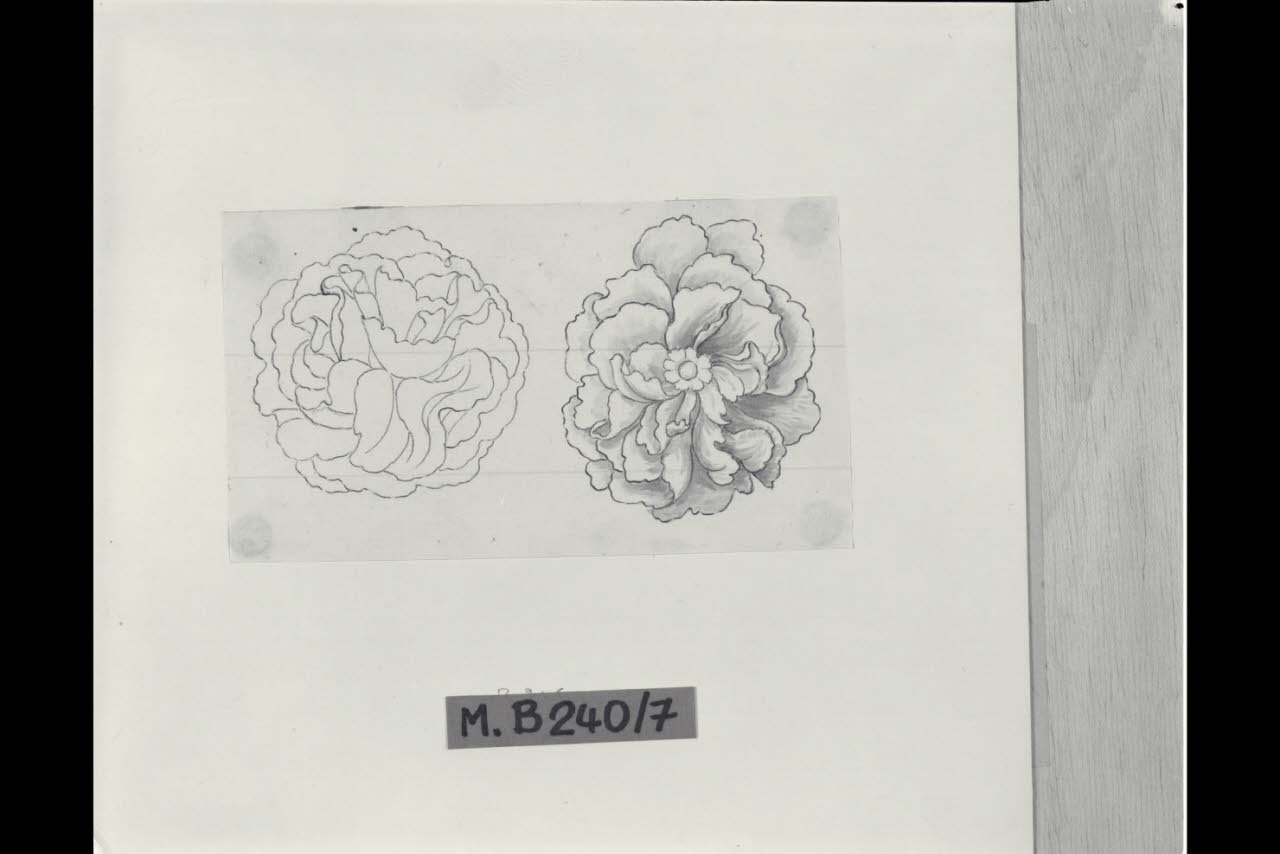 Due studi di rose (disegno) di Maggiolini (bottega) (secc. XVIII/ XIX)