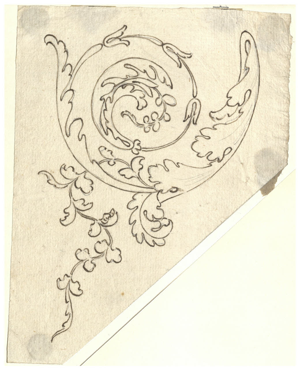 Foglie d'acanto (disegno) di Maggiolini (bottega) (secc. XVIII/ XIX)
