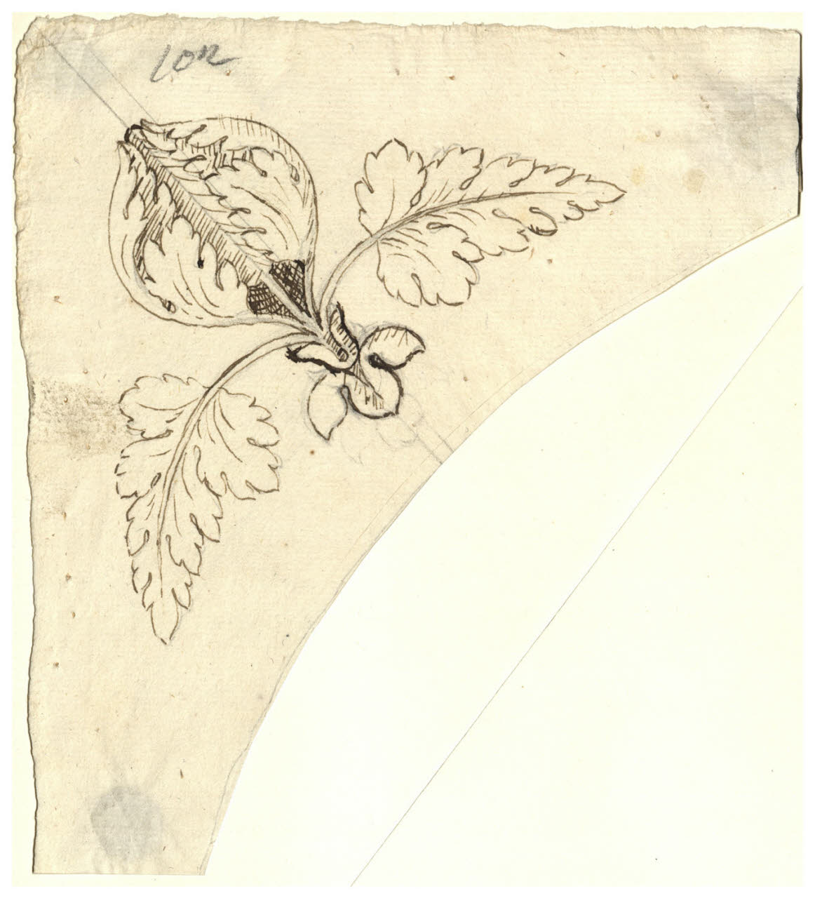 Motivo fogliaceo (disegno) di Maggiolini (bottega) (secc. XVIII/ XIX)