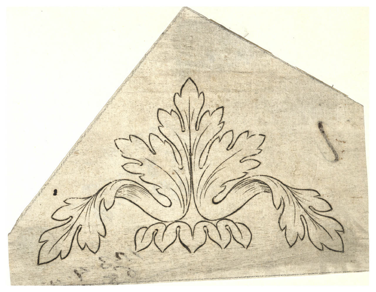 Motivo fogliaceo (disegno) di Maggiolini (bottega) (secc. XVIII/ XIX)