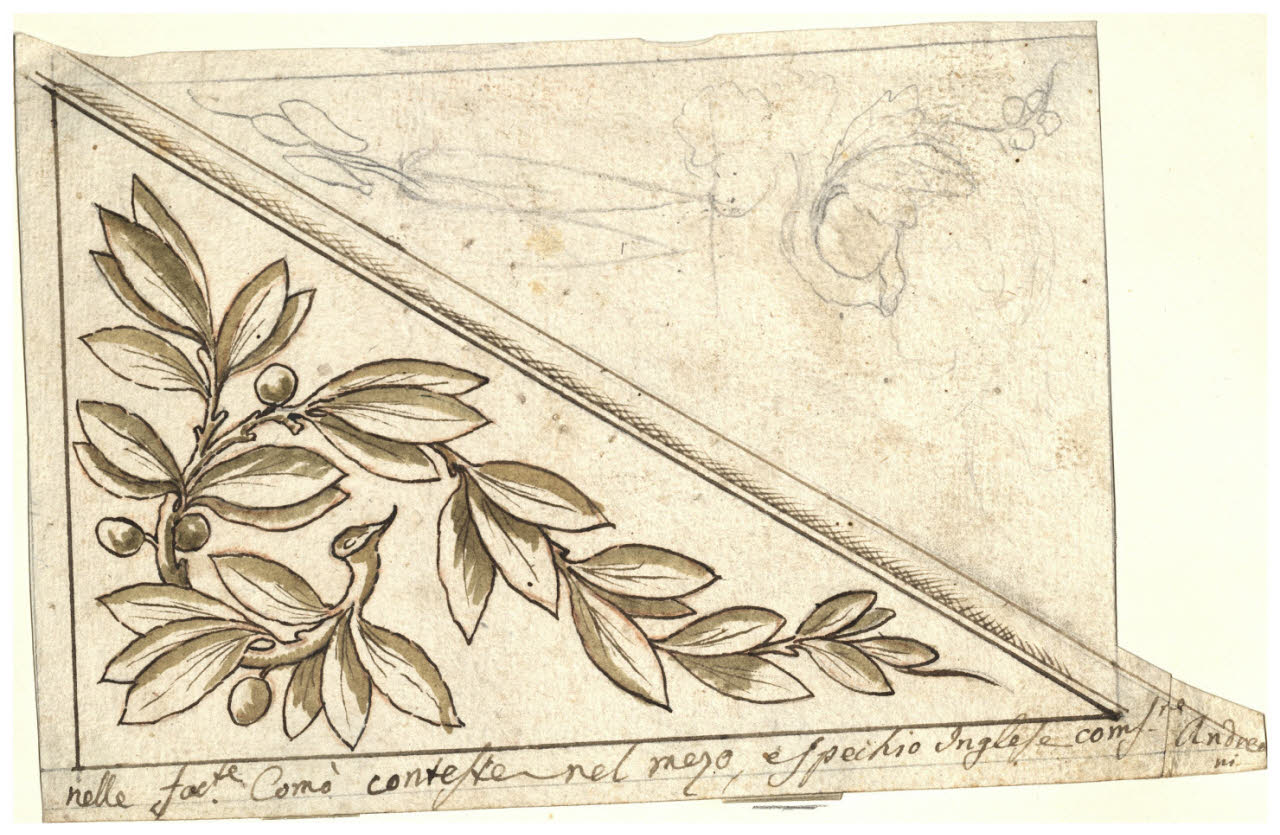 Ramo d'ulivo (disegno) di Maggiolini (bottega) (secc. XVIII/ XIX)