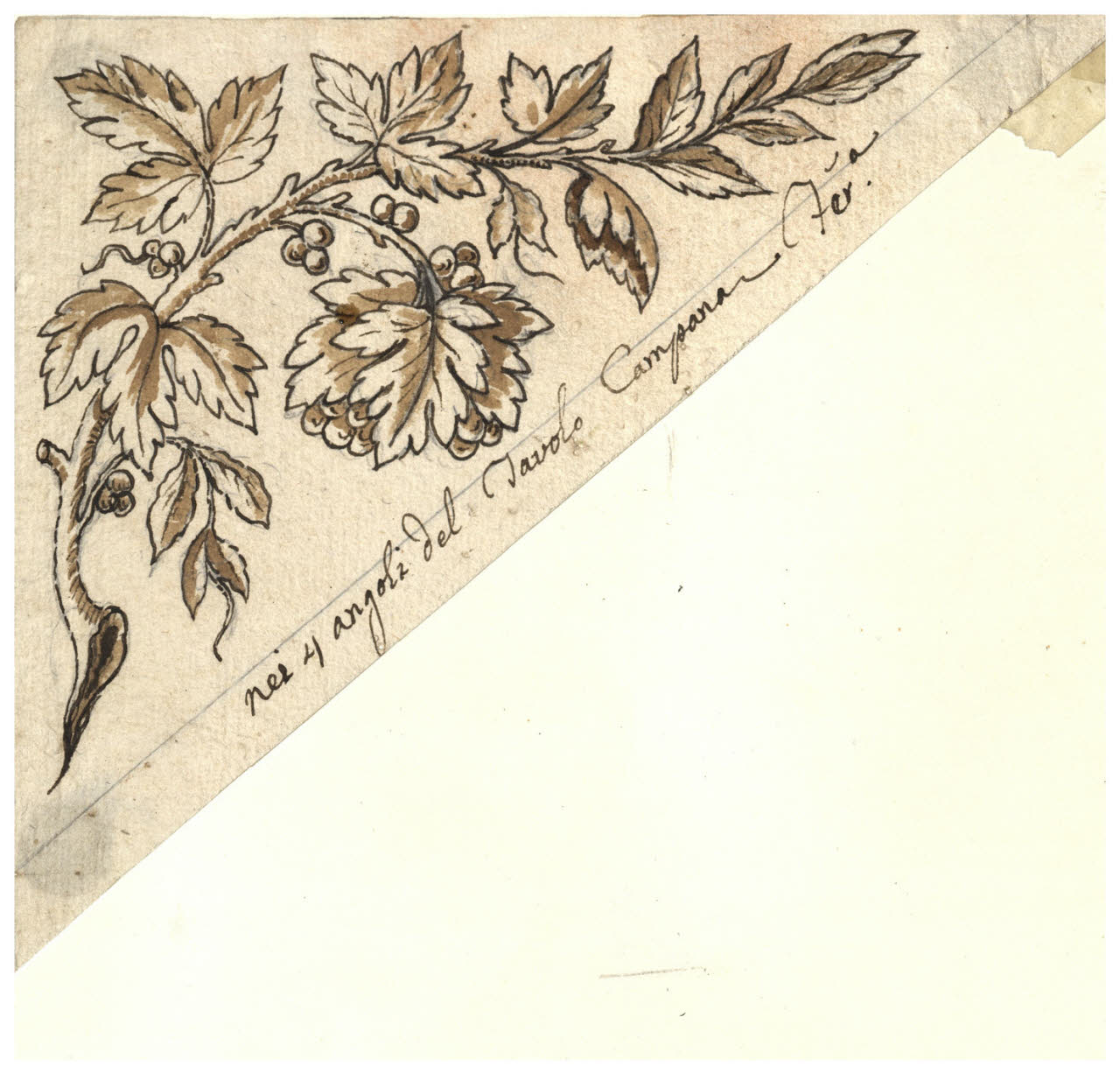 Tralcio di vite (disegno) di Maggiolini (bottega) (secc. XVIII/ XIX)