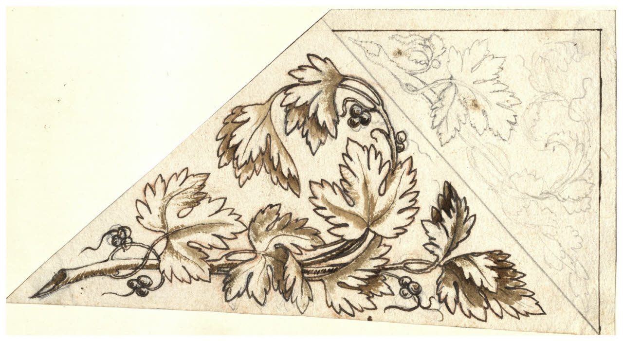 Tralci di vite (disegno) di Maggiolini (bottega) (secc. XVIII/ XIX)