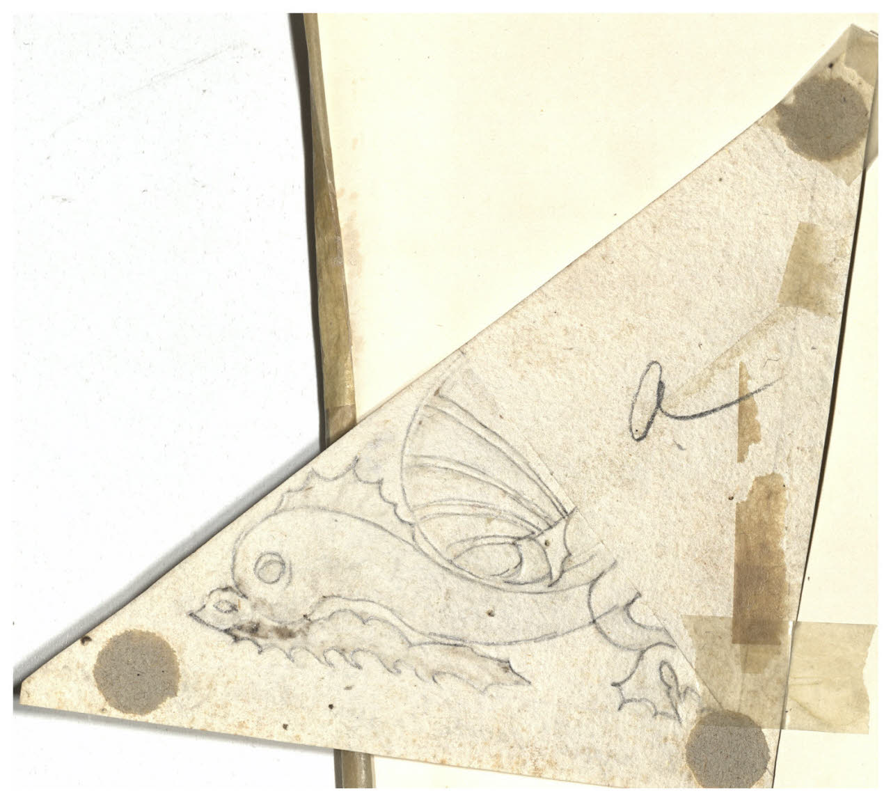 Ornato con delfini incrociati e conchiglia (disegno) di Maggiolini (bottega) (secc. XVIII/ XIX)