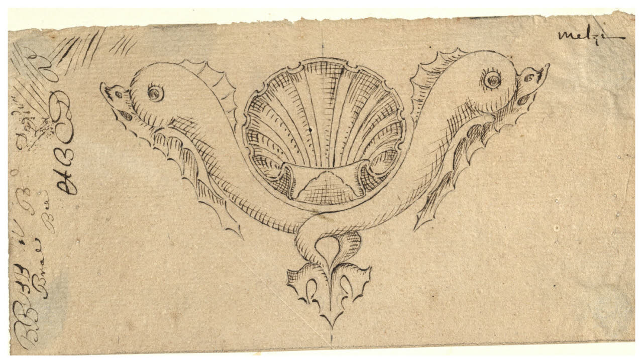 Ornato con delfini incrociati e una conchiglia (disegno) di Maggiolini (bottega) (secc. XVIII/ XIX)