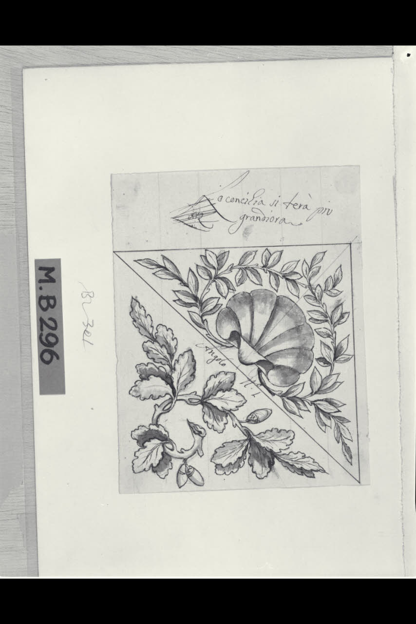 Rami intrecciati e conchiglia (disegno) di Maggiolini (bottega) (secc. XVIII/ XIX)