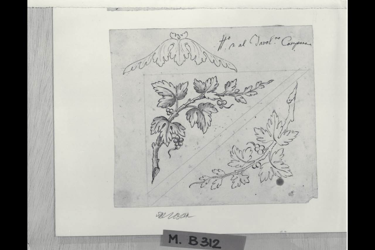 Tralcio di vite (disegno) di Maggiolini (bottega) (secc. XVIII/ XIX)