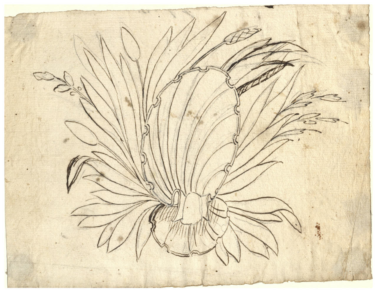 Conchiglia ornata da foglie (disegno) di Maggiolini (bottega) (secc. XVIII/ XIX)