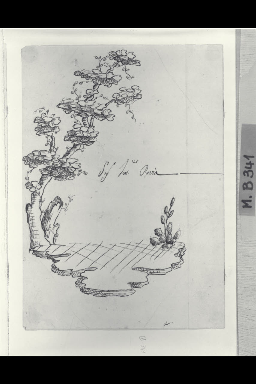 Albero a arbusto (disegno) di Maggiolini (bottega) (secc. XVIII/ XIX)
