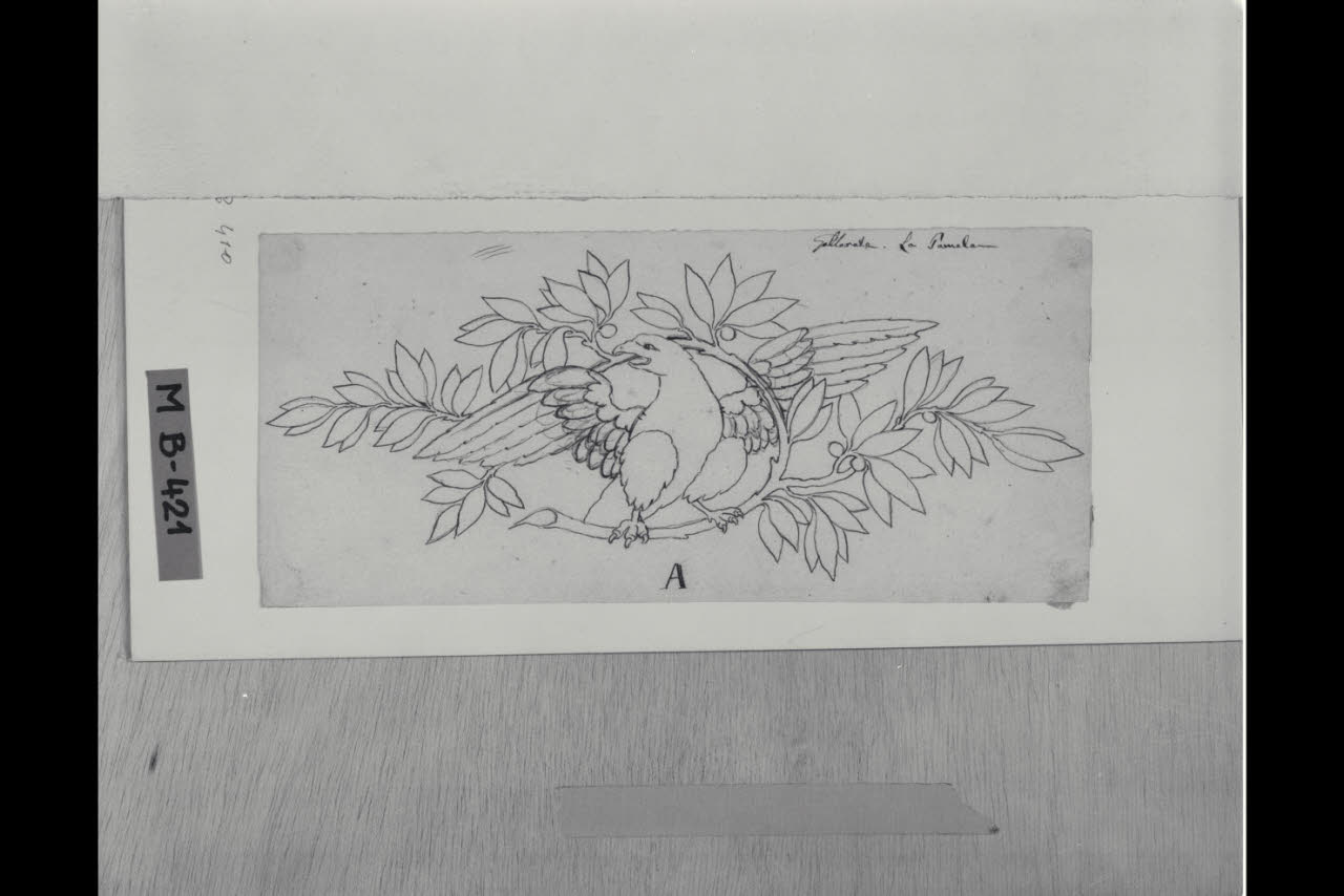 Aquila con ramo di lauro (disegno) di Maggiolini (bottega) (secc. XVIII/ XIX)
