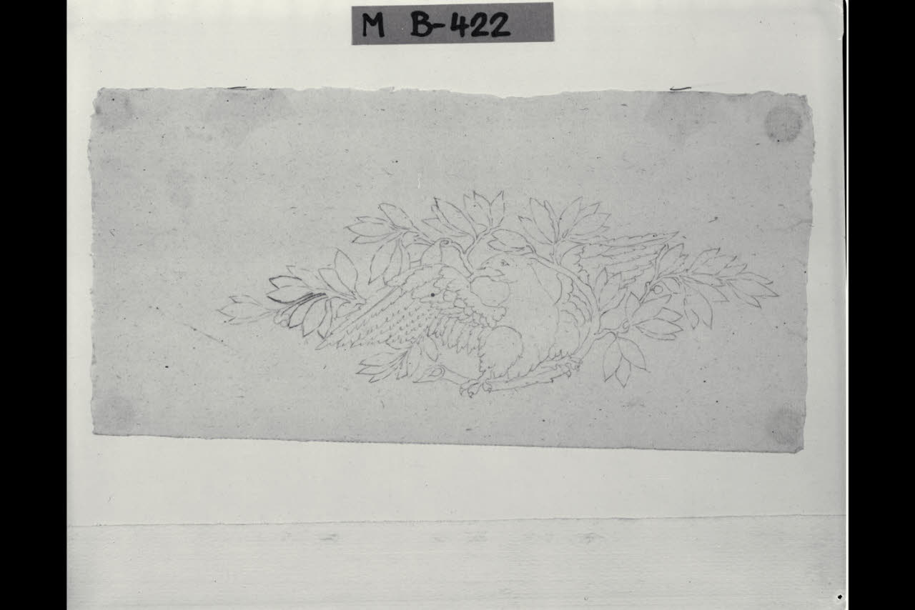 Aquila con ramo di lauro (disegno) di Maggiolini (bottega) (secc. XVIII/ XIX)