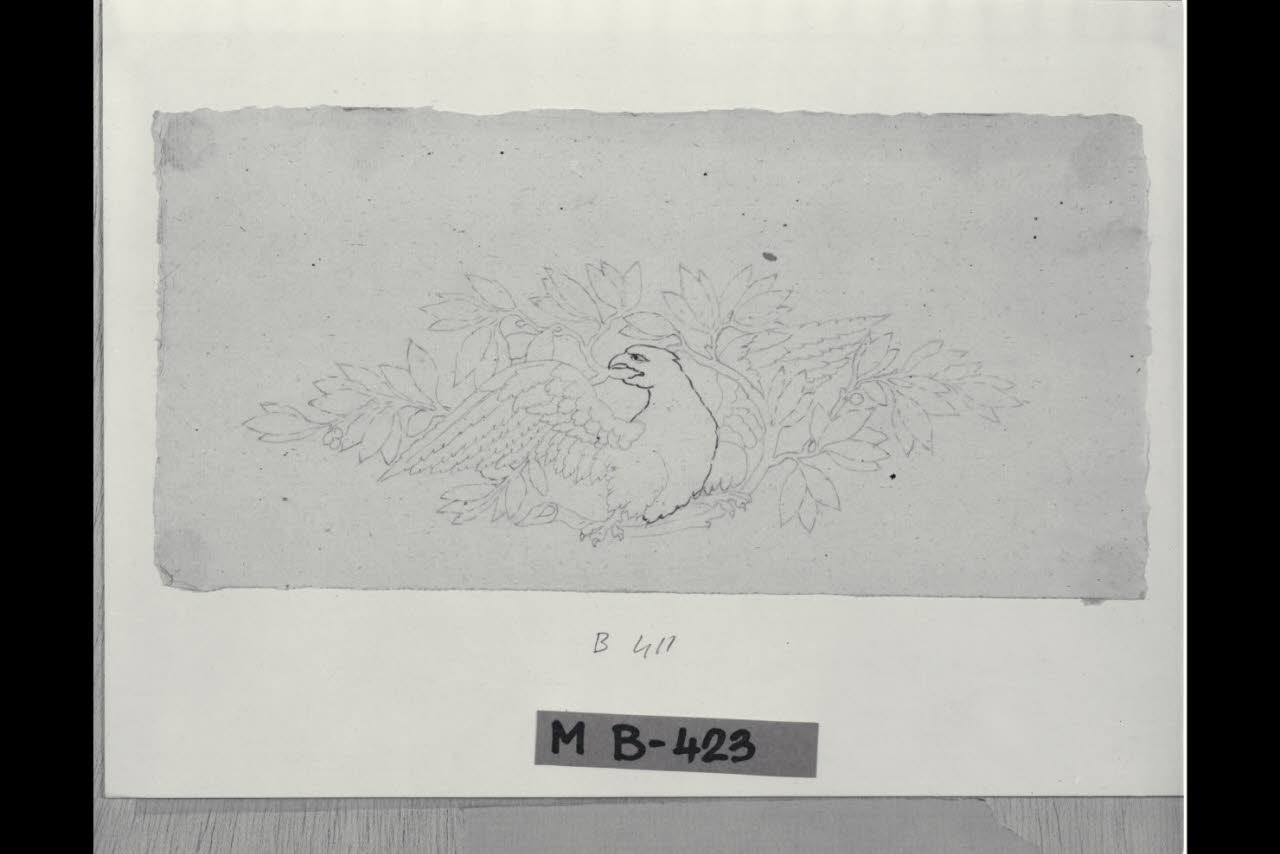 Aquila con ramo di lauro (disegno) di Maggiolini (bottega) (secc. XVIII/ XIX)