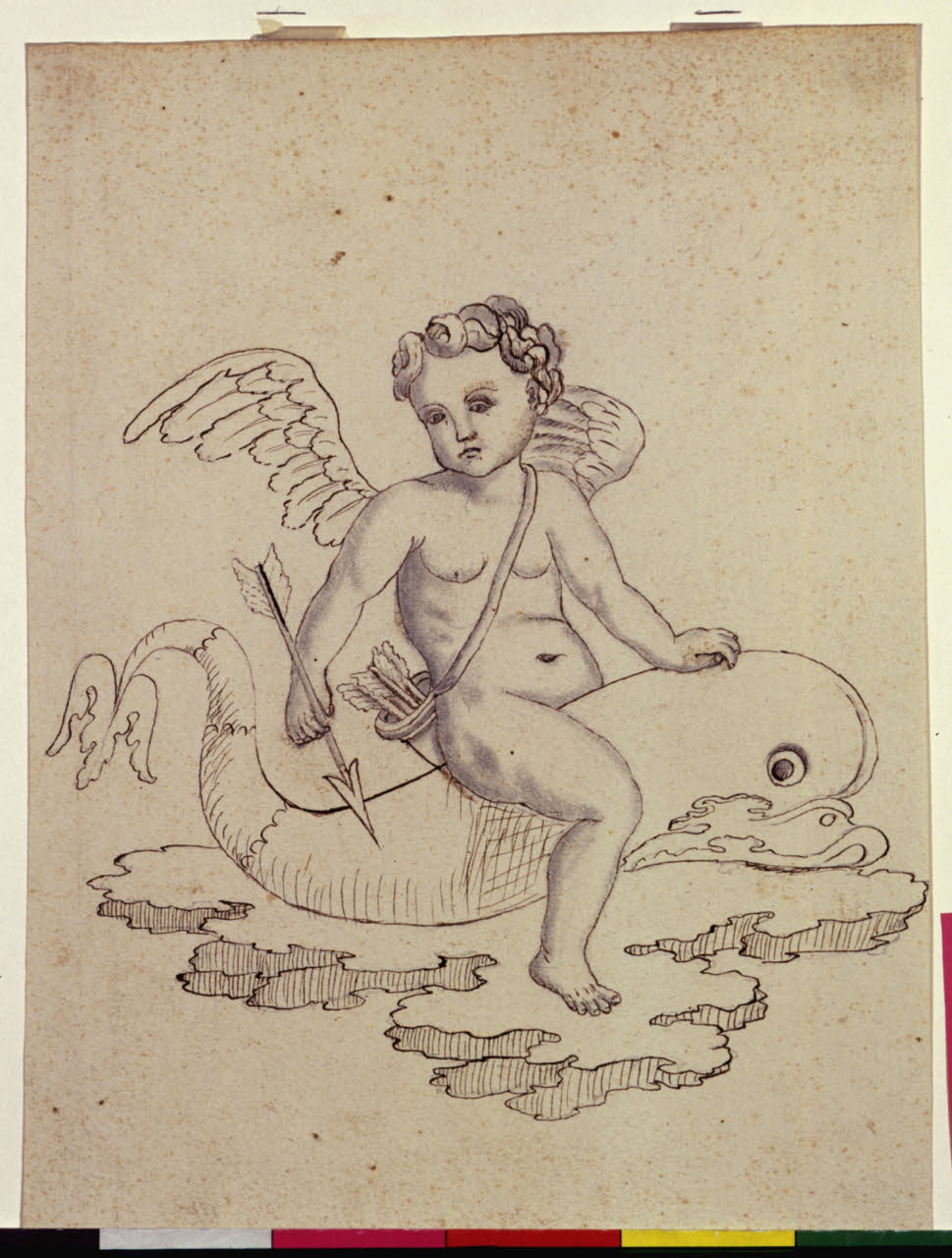 Amorino in groppa ad un delfino (disegno) di Maggiolini (bottega) (secc. XVIII/ XIX)