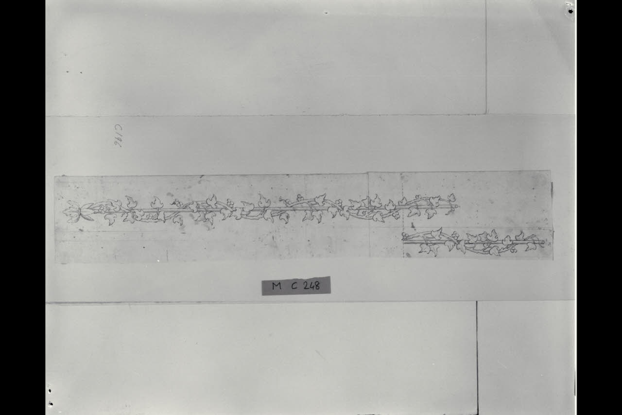 Tralci di edera (disegno) di Maggiolini (bottega) (secc. XVIII/ XIX)