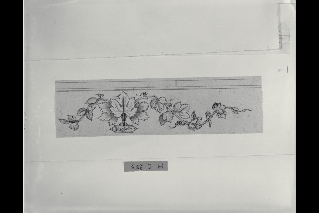 Tralcio di vite (disegno) di Maggiolini (bottega) (secc. XVIII/ XIX)