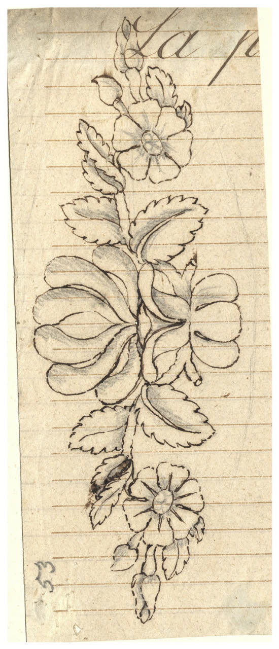 Fregio con rose (disegno) di Maggiolini (bottega) (secc. XVIII/ XIX)