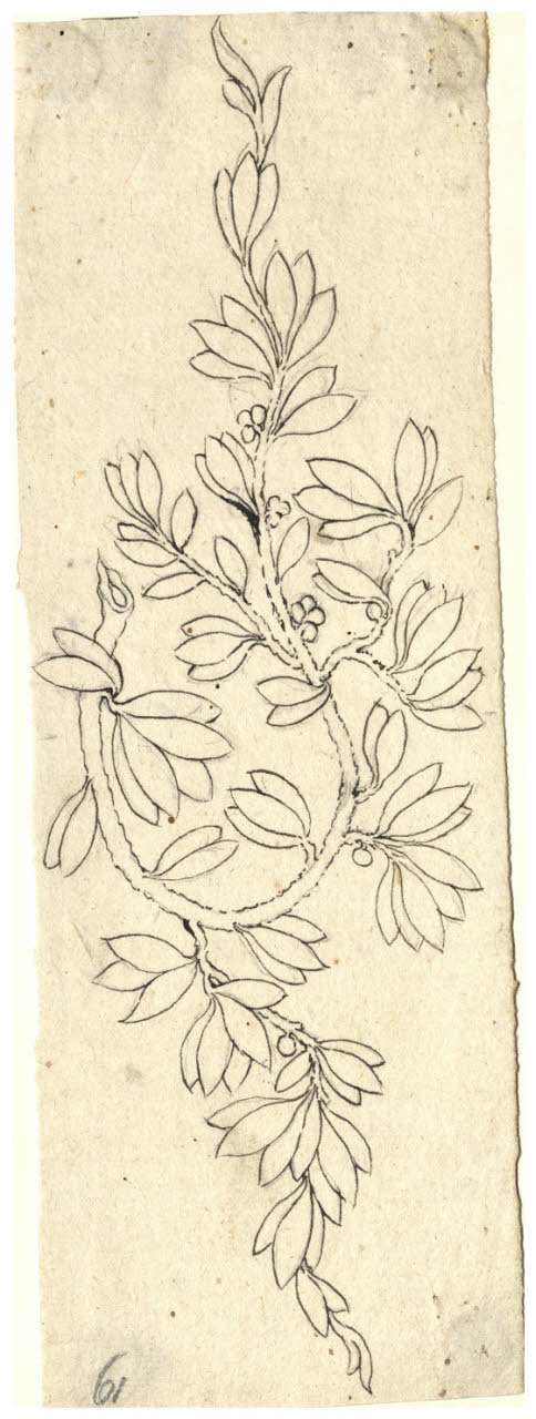 Motivo fogliaceo (disegno) di Maggiolini (bottega) (secc. XVIII/ XIX)