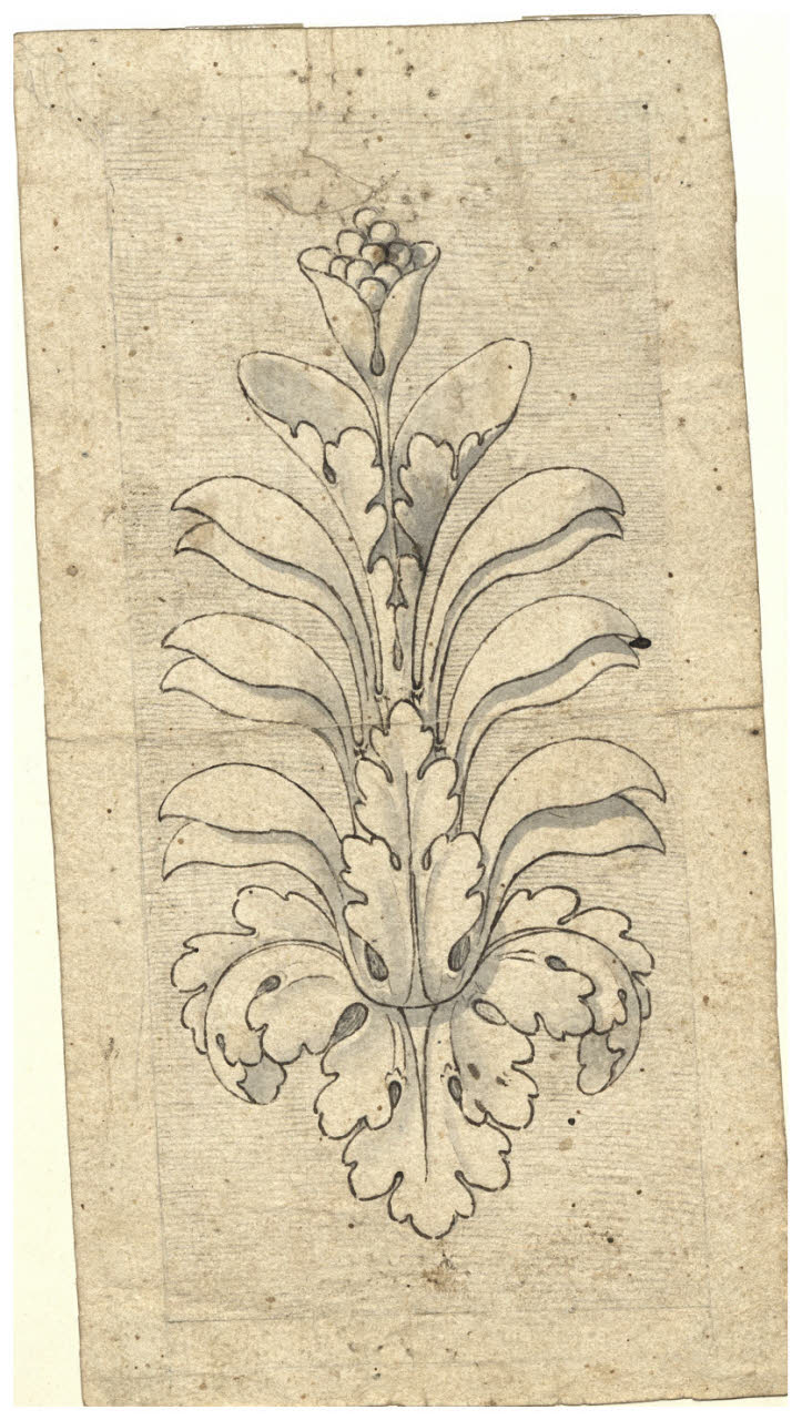 Cespo fogliaceo (disegno) di Maggiolini (bottega) (secc. XVIII/ XIX)