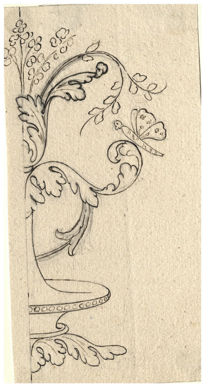 Foglie d'acanto e farfalla (disegno) di Maggiolini (bottega) (secc. XVIII/ XIX)