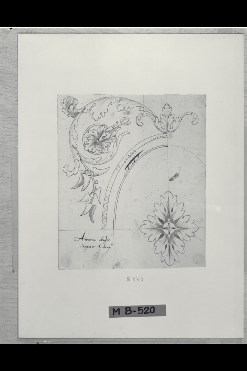 Tralcio con incorniciatura ovale (disegno) di Maggiolini (bottega) (secc. XVIII/ XIX)