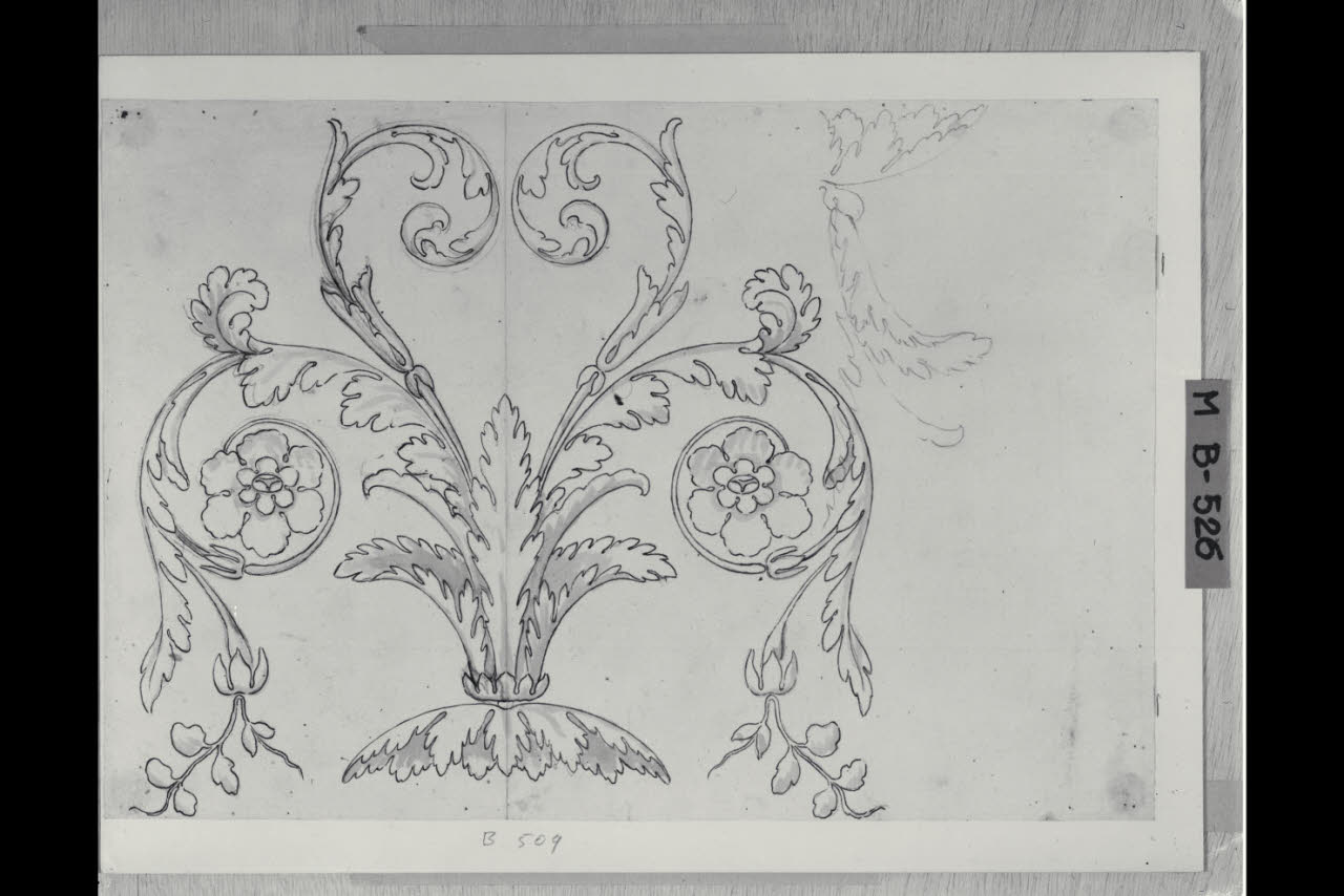 Cespo fogliaceo (disegno) di Maggiolini (bottega) (secc. XVIII/ XIX)