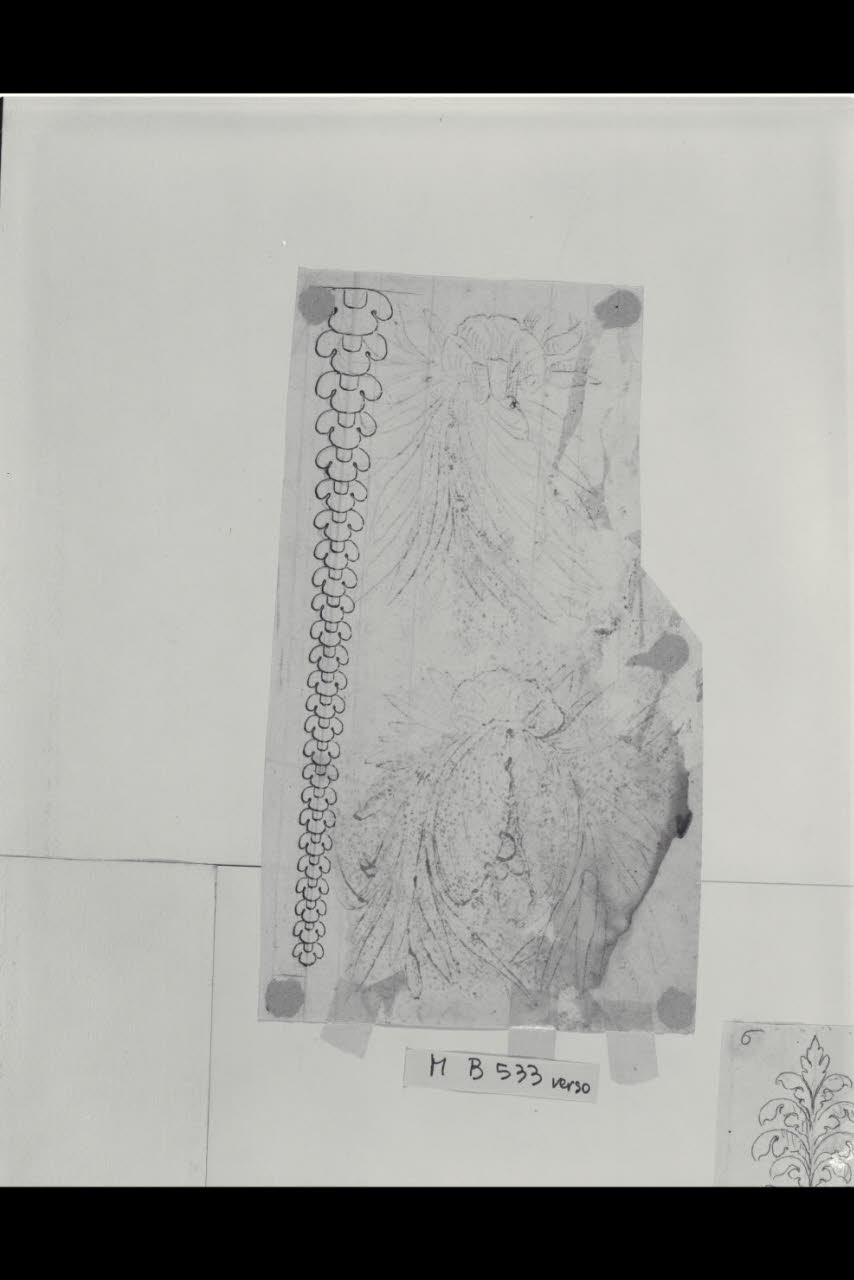 Disegno di bordura degradante (disegno) di Maggiolini (bottega) (secc. XVIII/ XIX)