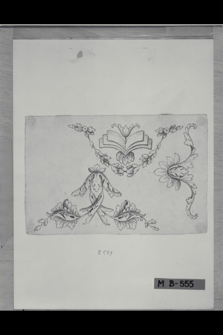 Tre studi di elementi fitomorfi (disegno) di Maggiolini (bottega) (secc. XVIII/ XIX)
