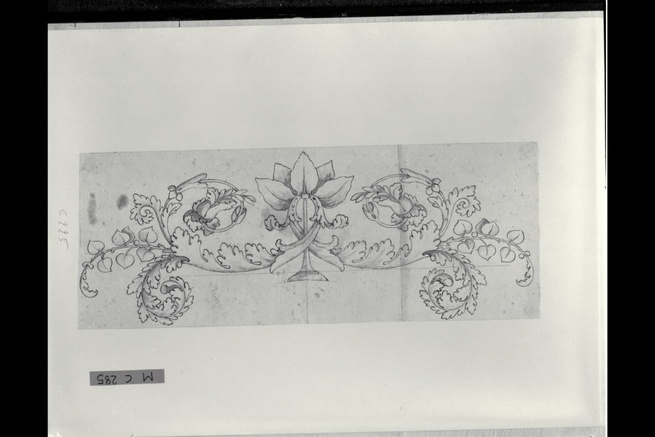 Decorazione a motivi fogliacei (disegno) di Maggiolini (bottega) (secc. XVIII/ XIX)