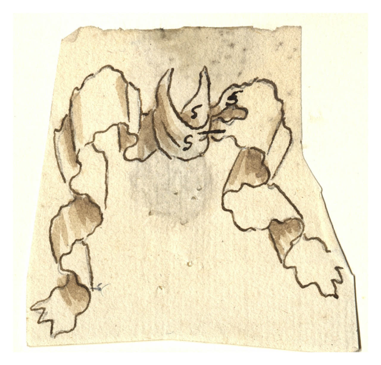 Nastro (disegno) di Maggiolini (bottega) (secc. XVIII/ XIX)