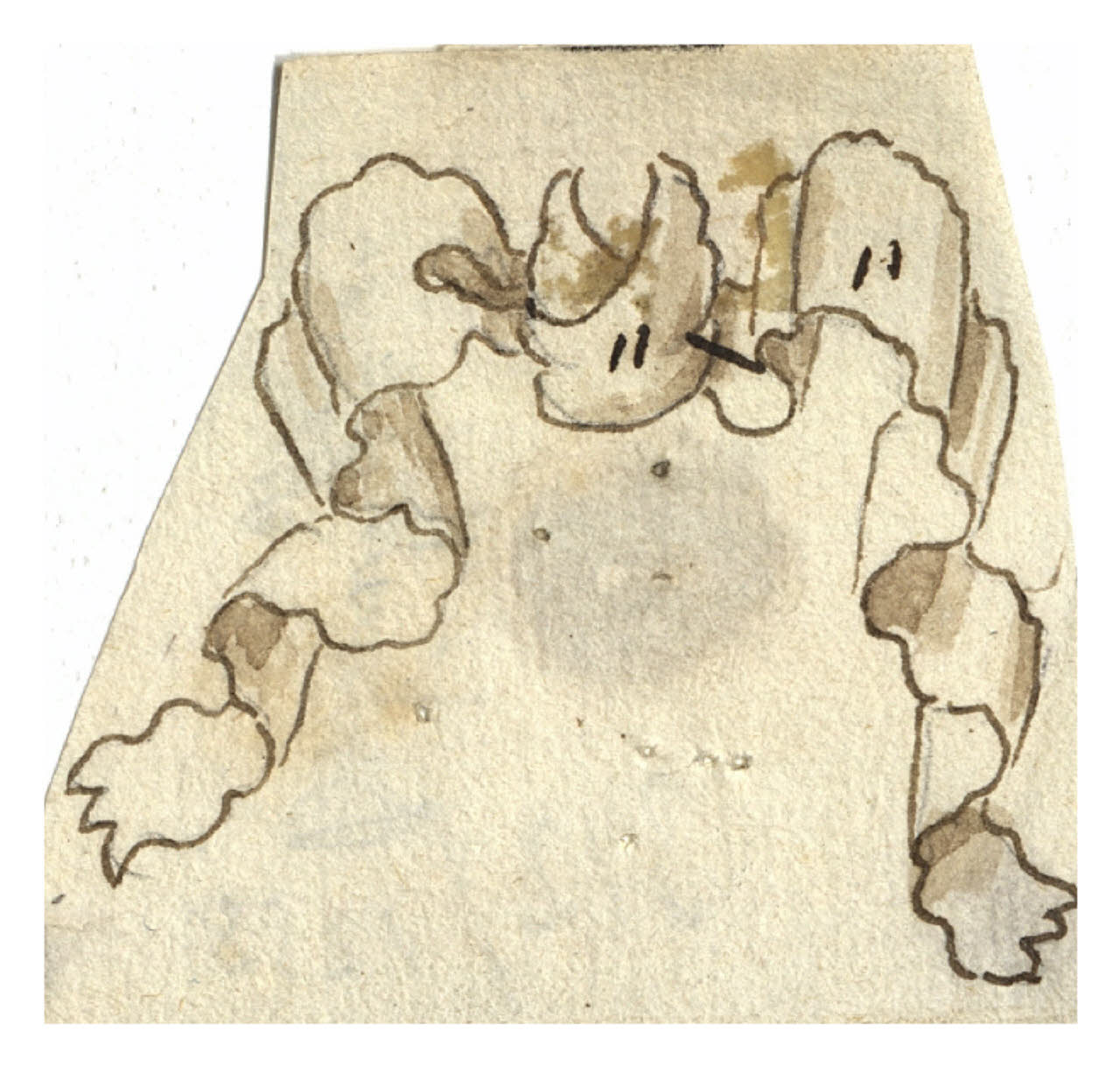 Nastro (disegno) di Maggiolini (bottega) (secc. XVIII/ XIX)