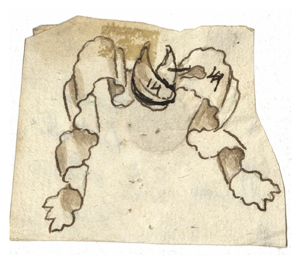 Nastro (disegno) di Maggiolini (bottega) (secc. XVIII/ XIX)