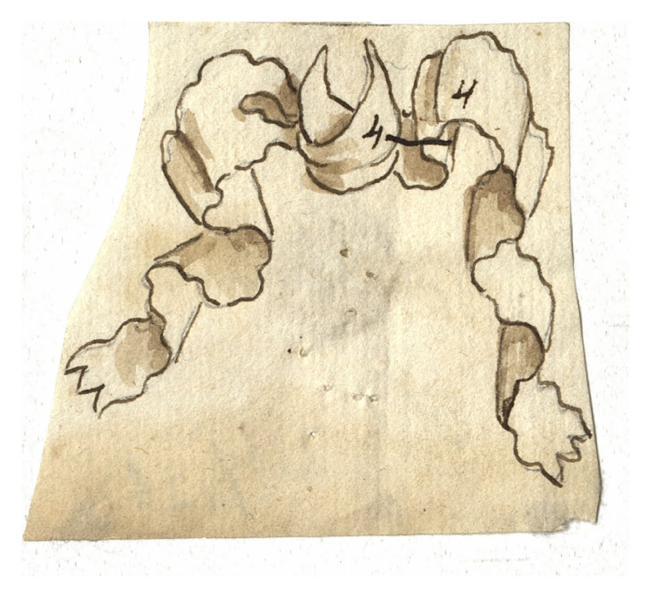 Nastro (disegno) di Maggiolini (bottega) (secc. XVIII/ XIX)