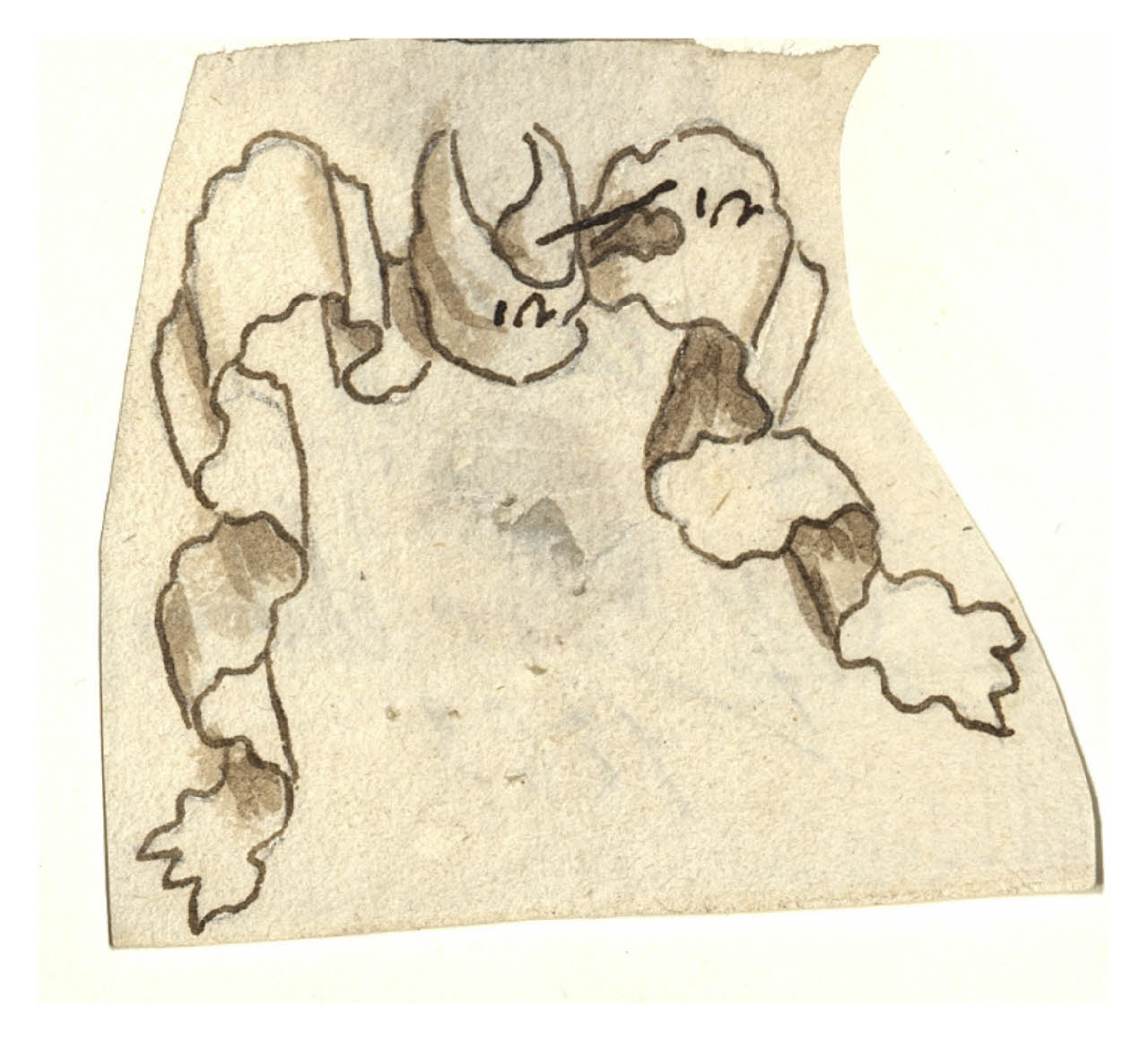 Nastro (disegno) di Maggiolini (bottega) (secc. XVIII/ XIX)