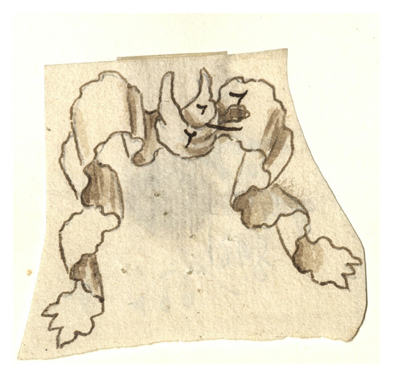 Nastro (disegno) di Maggiolini (bottega) (secc. XVIII/ XIX)