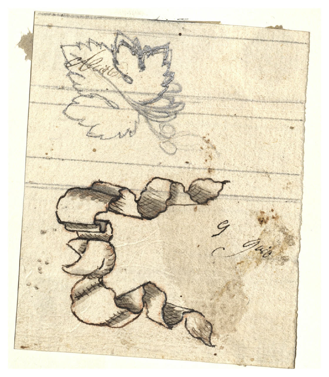 Nastro e foglia di vite (disegno) di Maggiolini (bottega) (secc. XVIII/ XIX)