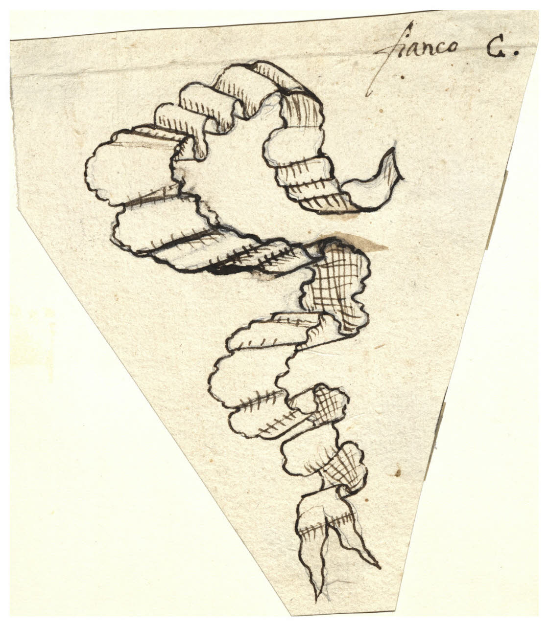 Nastro (disegno) di Maggiolini (bottega) (secc. XVIII/ XIX)