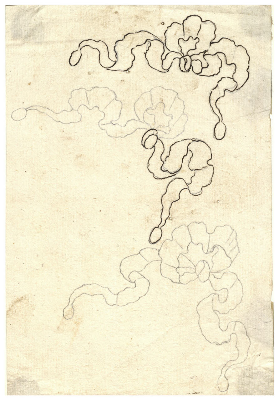 Nastri (disegno) di Maggiolini (bottega) (secc. XVIII/ XIX)