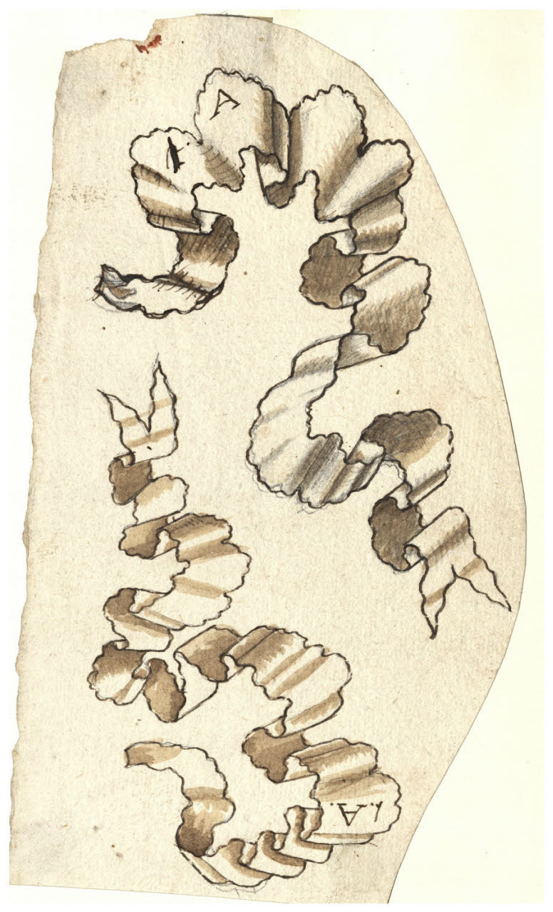 Nastri (disegno) di Maggiolini (bottega) (secc. XVIII/ XIX)