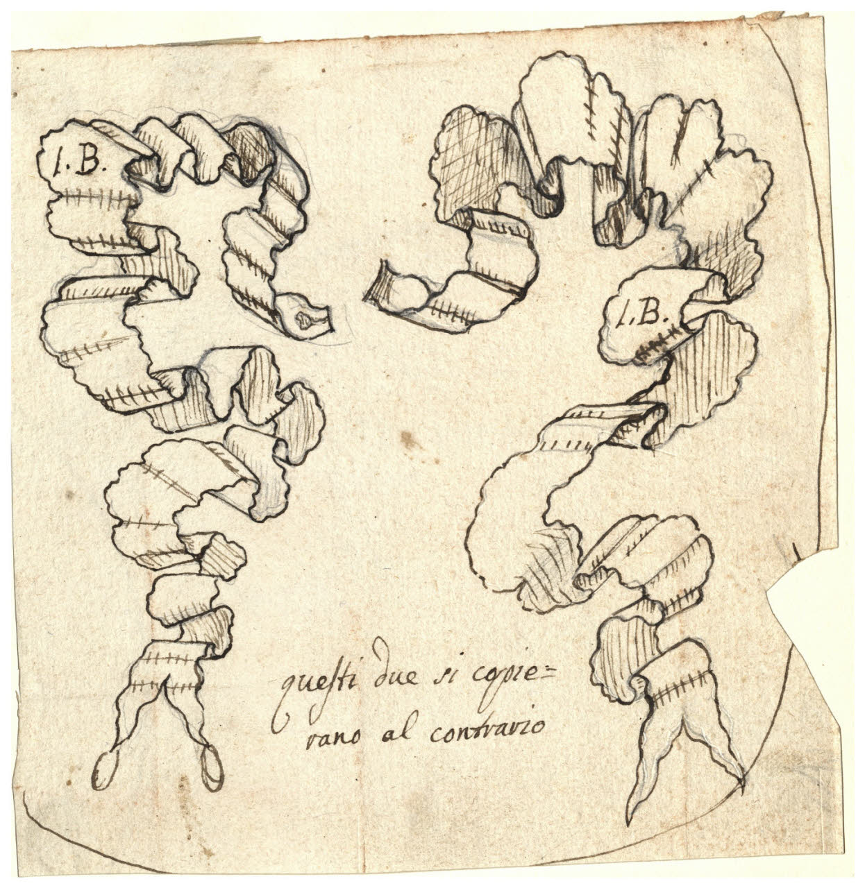 Nastri (disegno) di Maggiolini (bottega) (secc. XVIII/ XIX)