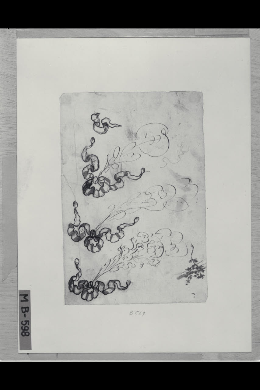 Studi di nastri (disegno) di Levati, Giuseppe ((?)) (secc. XVIII/ XIX)